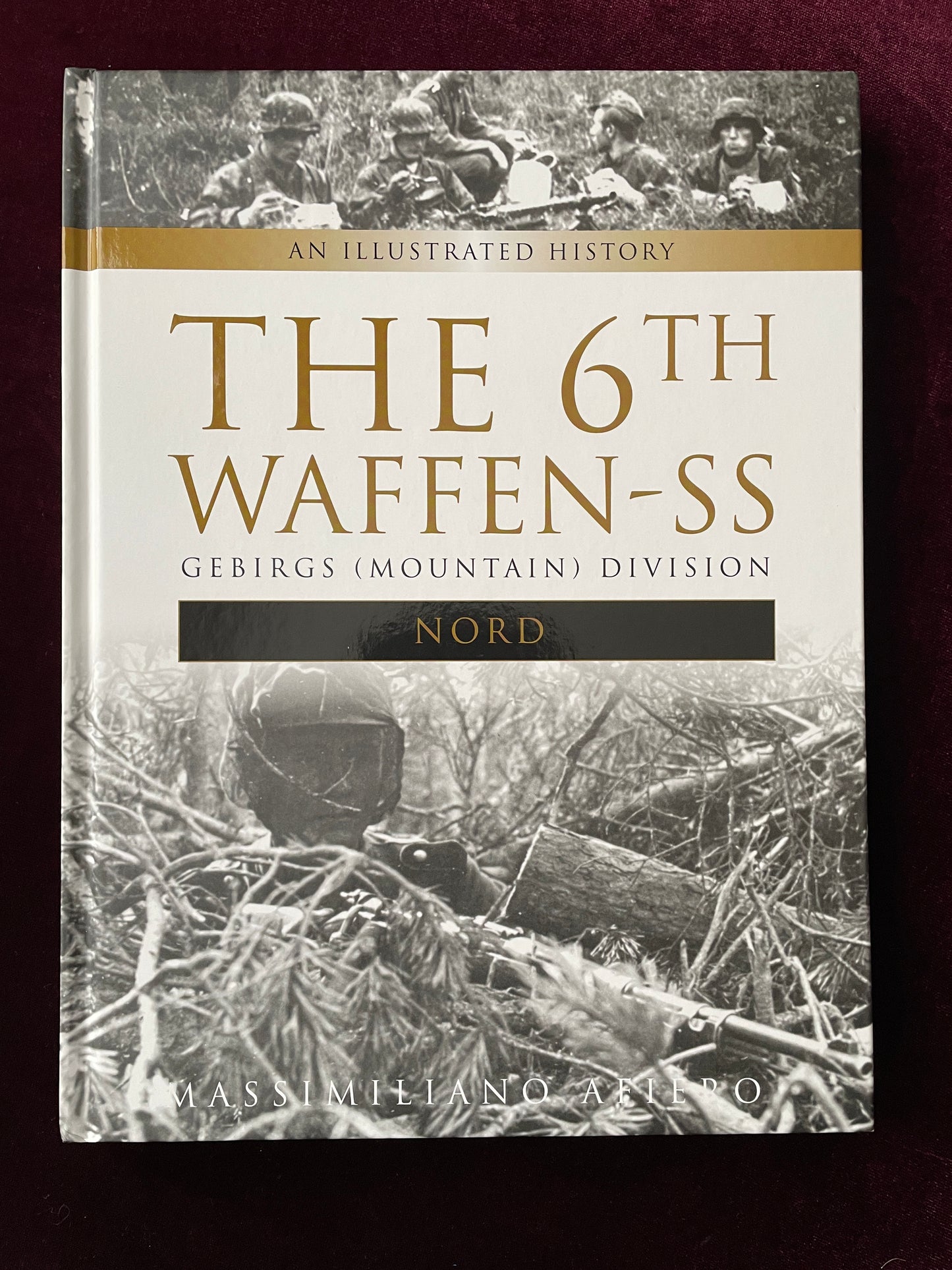 The 6th Waffen-SS Gebirgs (Mountain) Division
